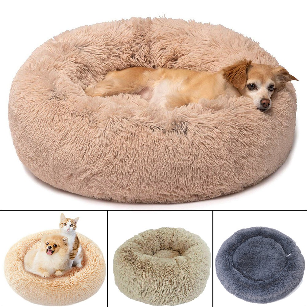 absolute soothing bed