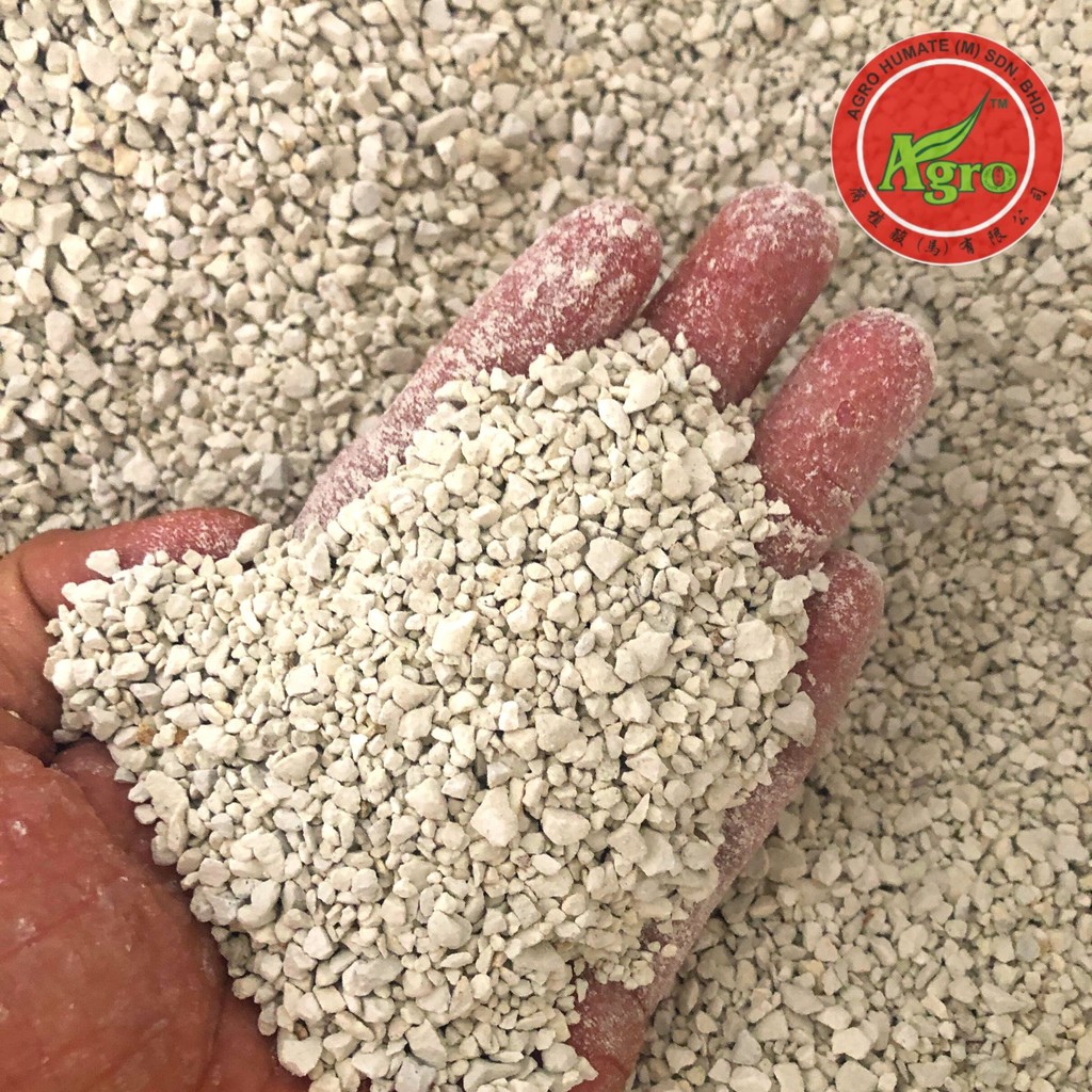 White Zeolite Stone沸石 26 mm ( Succulent Soil / Topping / Mineral