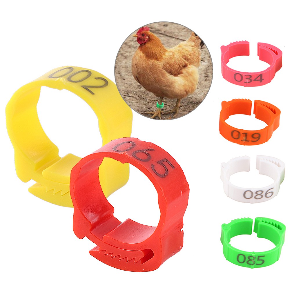 50Pcs Chicken Foot Ring Adjustable Size Poultry Leg Digital Label Buckle Ring 6 Colors Plastic Chick Duck Goose Farm Equipment