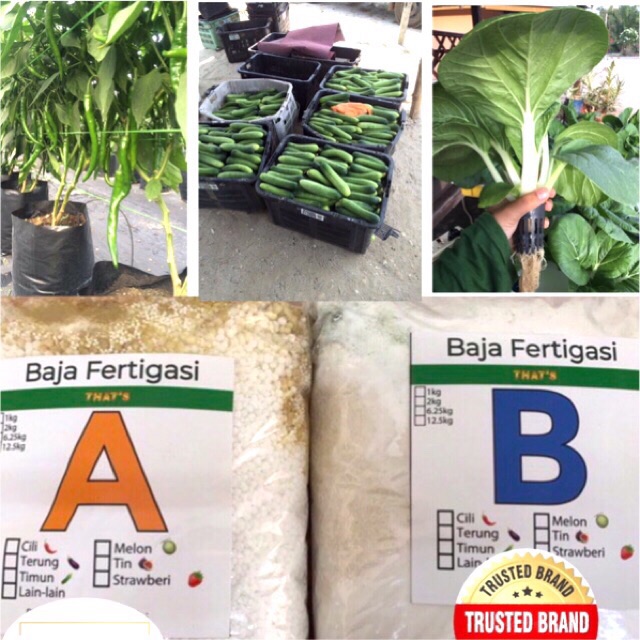 4kg Set Baja AB / 40L Fertigasi Hydroponic Sayur Daun Hidroponik ...