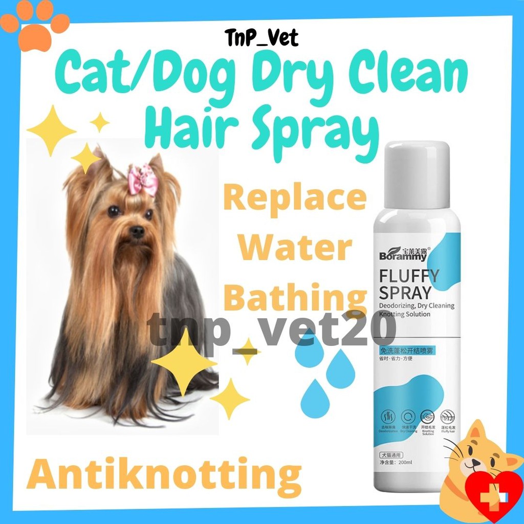 Can Dry Cleaners Remove Dog Hair