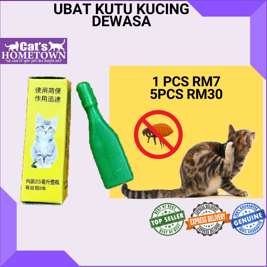 ALT DETICK UBAT KUTU KUCING DEWASAANAK KUCING 4 BULAN ATAS  Shopee