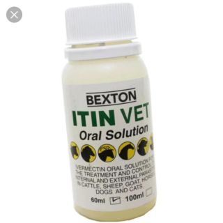 Bexton Itin Vet oral solutions (Anti Fungus /Parasites 