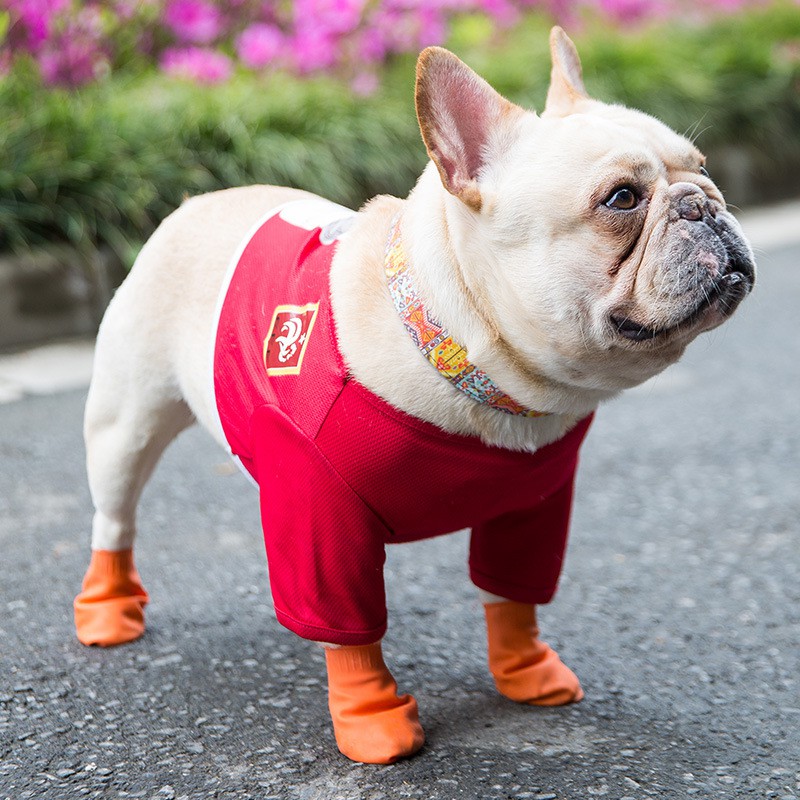 dog boots for summer