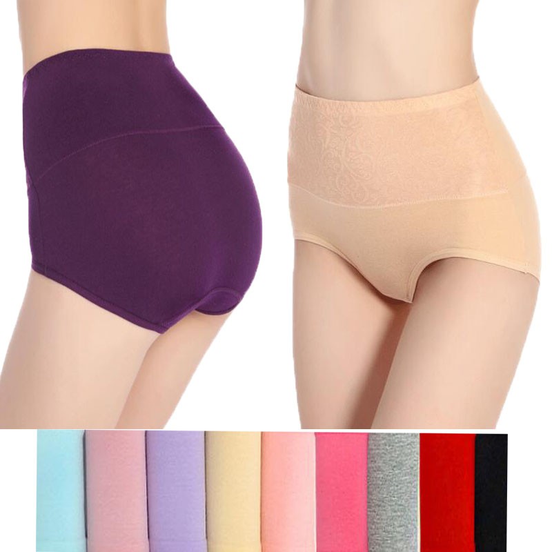 ladies plus size briefs