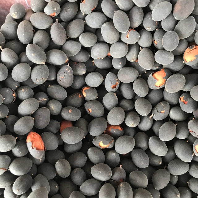 Buah keranji dalam kulit 100gram Shopee Malaysia