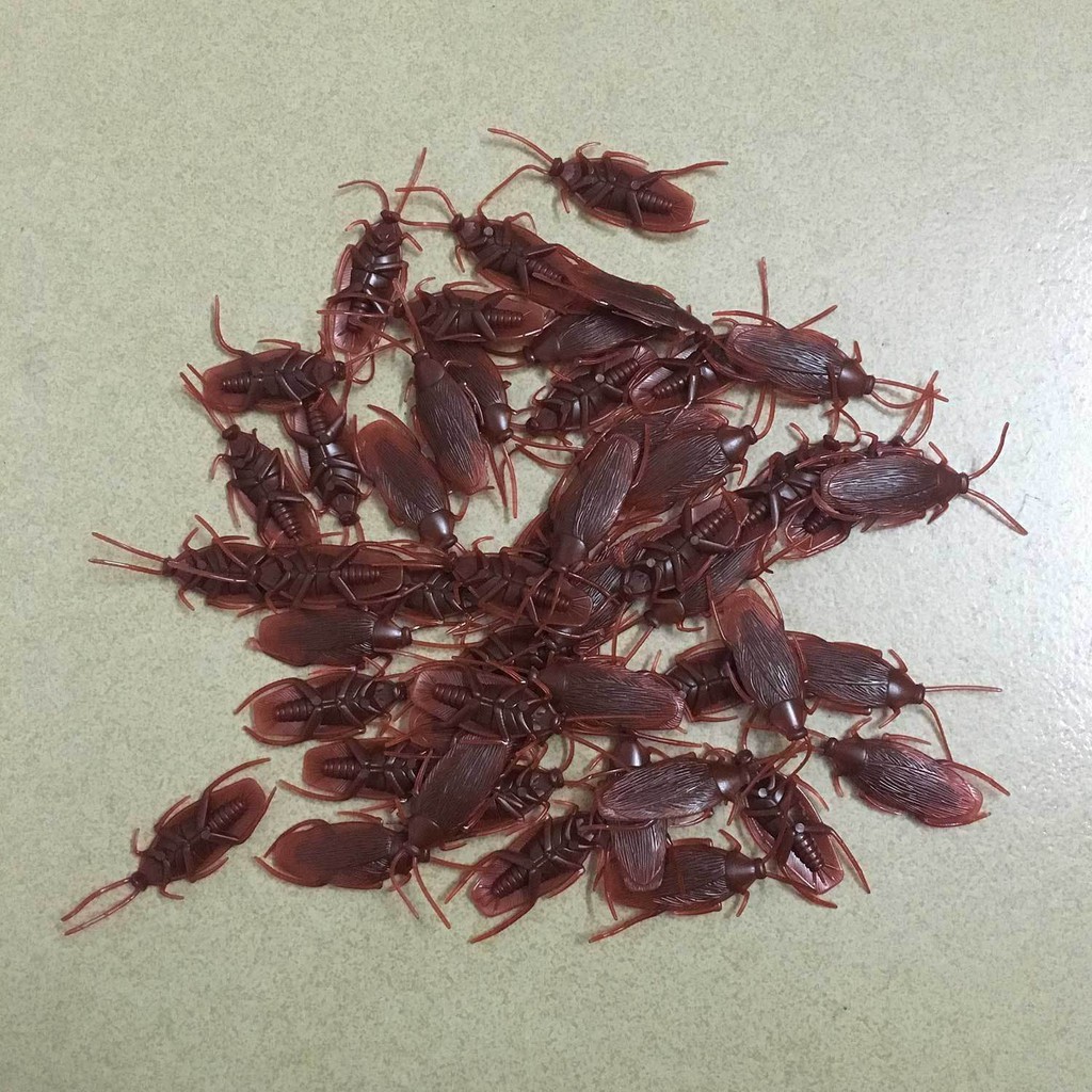 fake cockroach toy