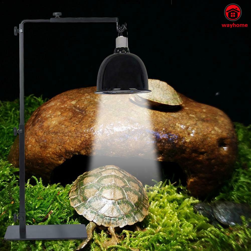 reptile light hanger