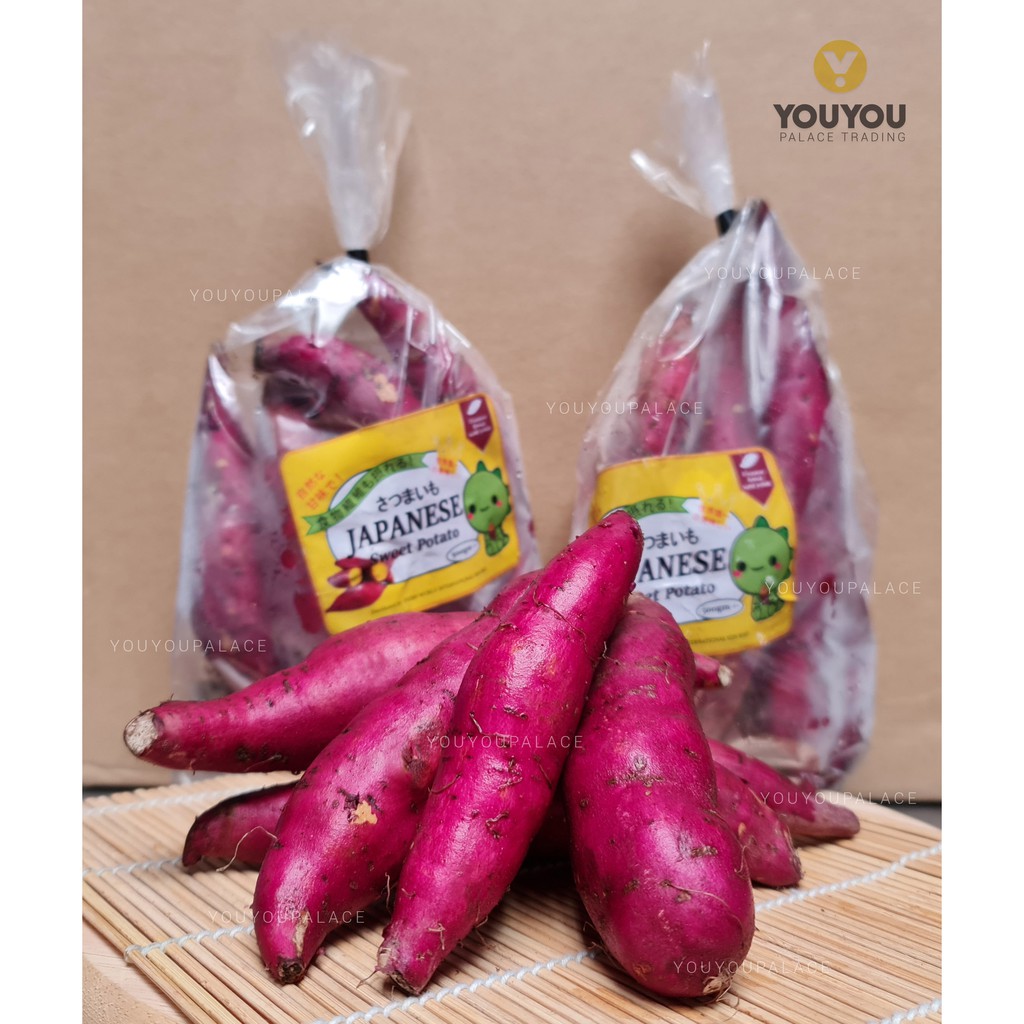 Fresh Japanese Sweet Potato (Organice Premium Grade) (Yellow or Purple Flesh) (500g+-) 著名日本番薯 (Youyou Palace Trading)