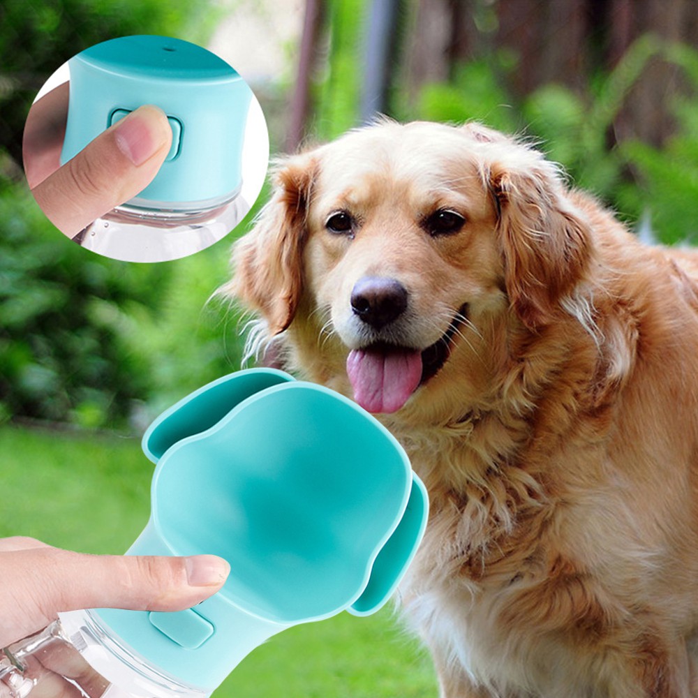 dog drinking cup