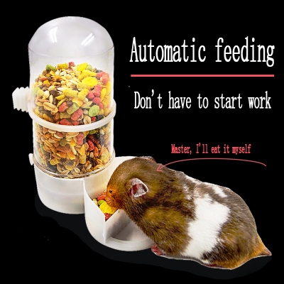Hamster Feeder Automatic Feeder Hamster Dutch Swine Products