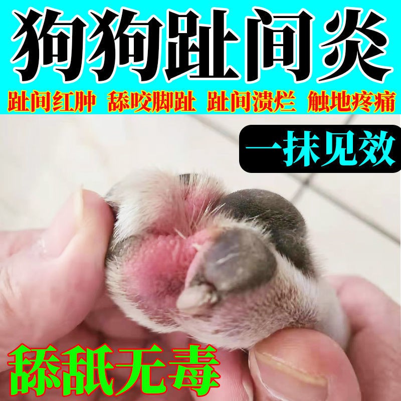 狗狗脚趾炎膏 不怕舔舐 狗狗趾间炎药膏猫狗脚趾炎真菌螨虫红肿脓包护理专用