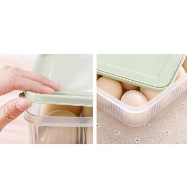 24 Grids Egg Storage Box Container Plastic Tupperware Bekas Telur