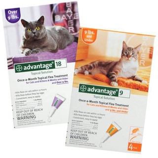 Ubat Kutu Advantage Cat Flea treatment  Shopee Malaysia