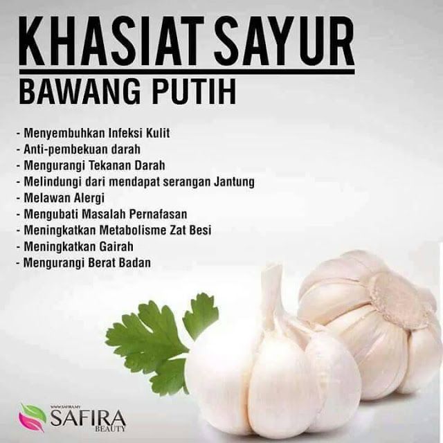 Bawang Putih Segar Murah Garlic Shopee Malaysia