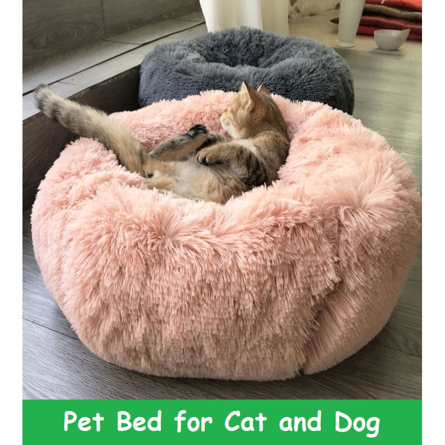 dog bed shopee