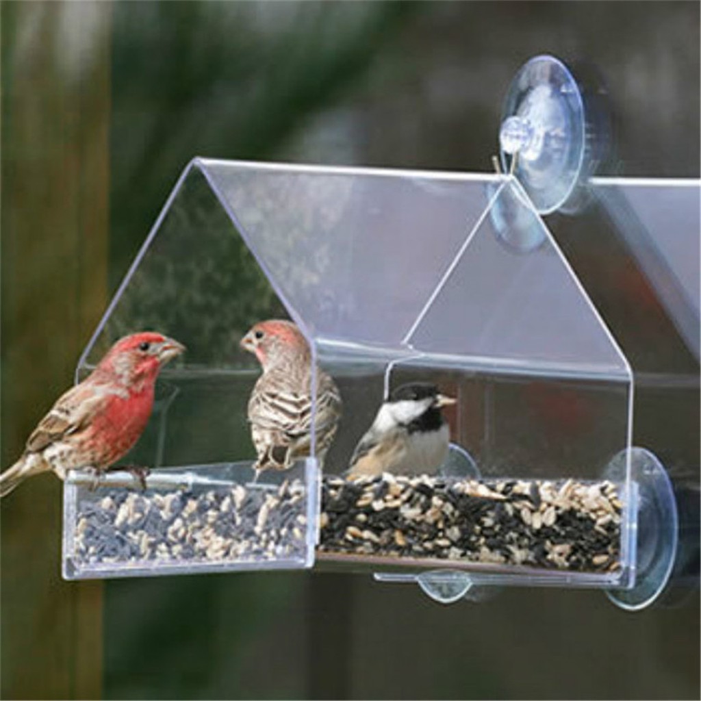 Window Bird Feeders Hot Sale Clear Glass Window Viewing Bird Feed