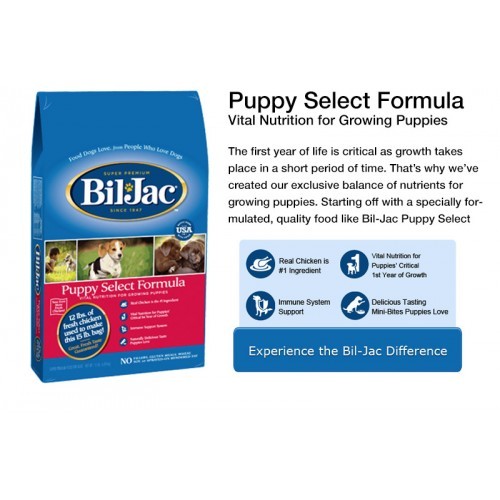 bil jac puppy select formula