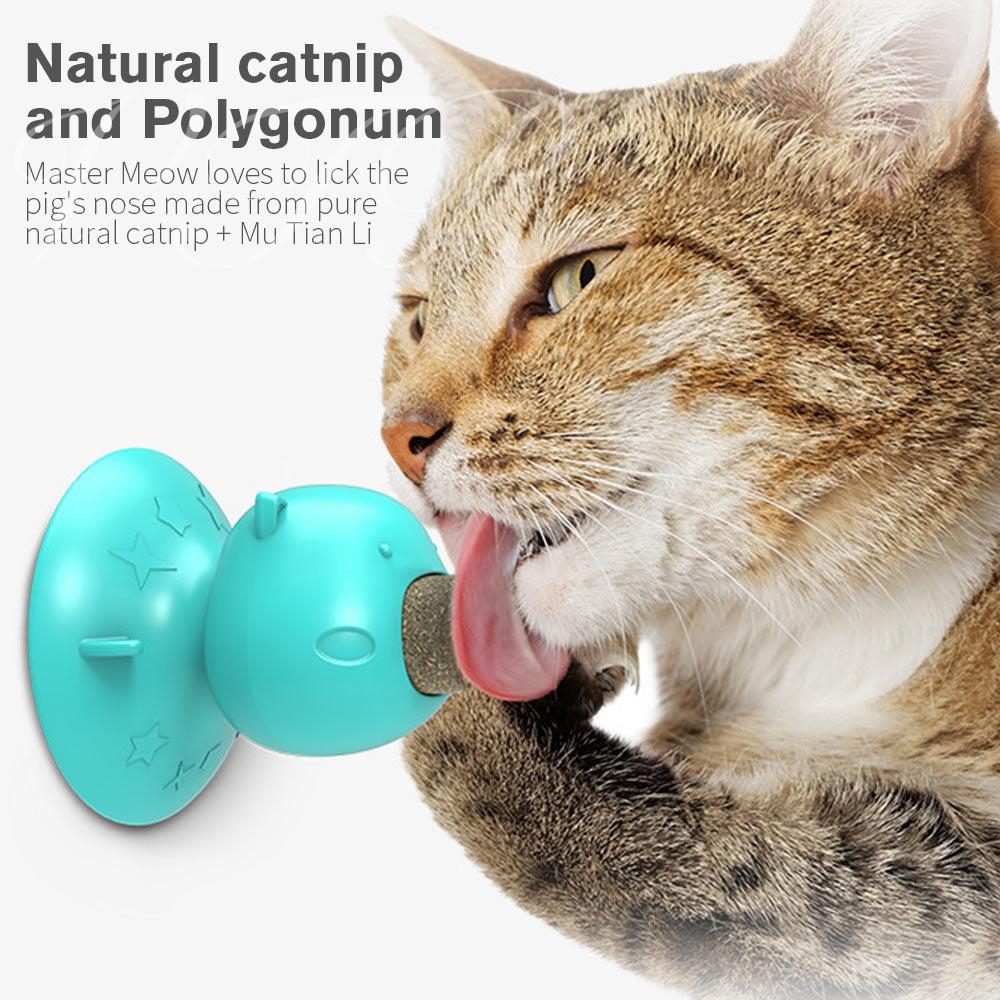 edible cat toys