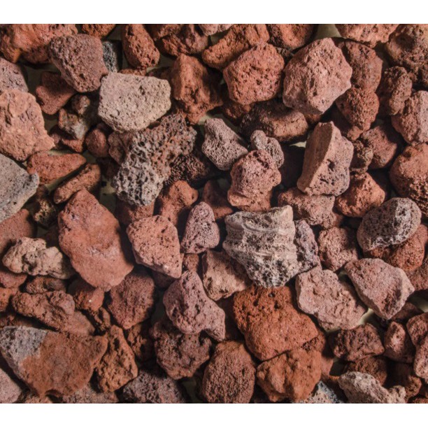 Lava Rock Volcano Rock Filter Media 1kg aquarium without net Shopee Malaysia