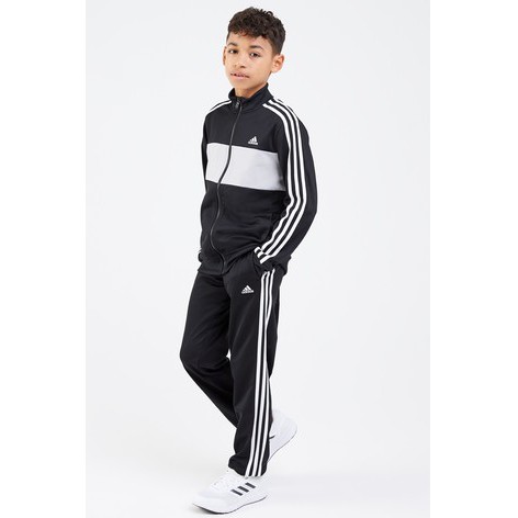 adidas tiberio