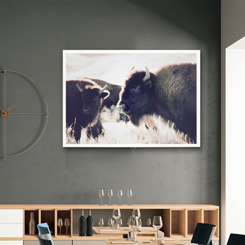 Highland Cow Print And Poster Cattle Canvas Art Paintings For