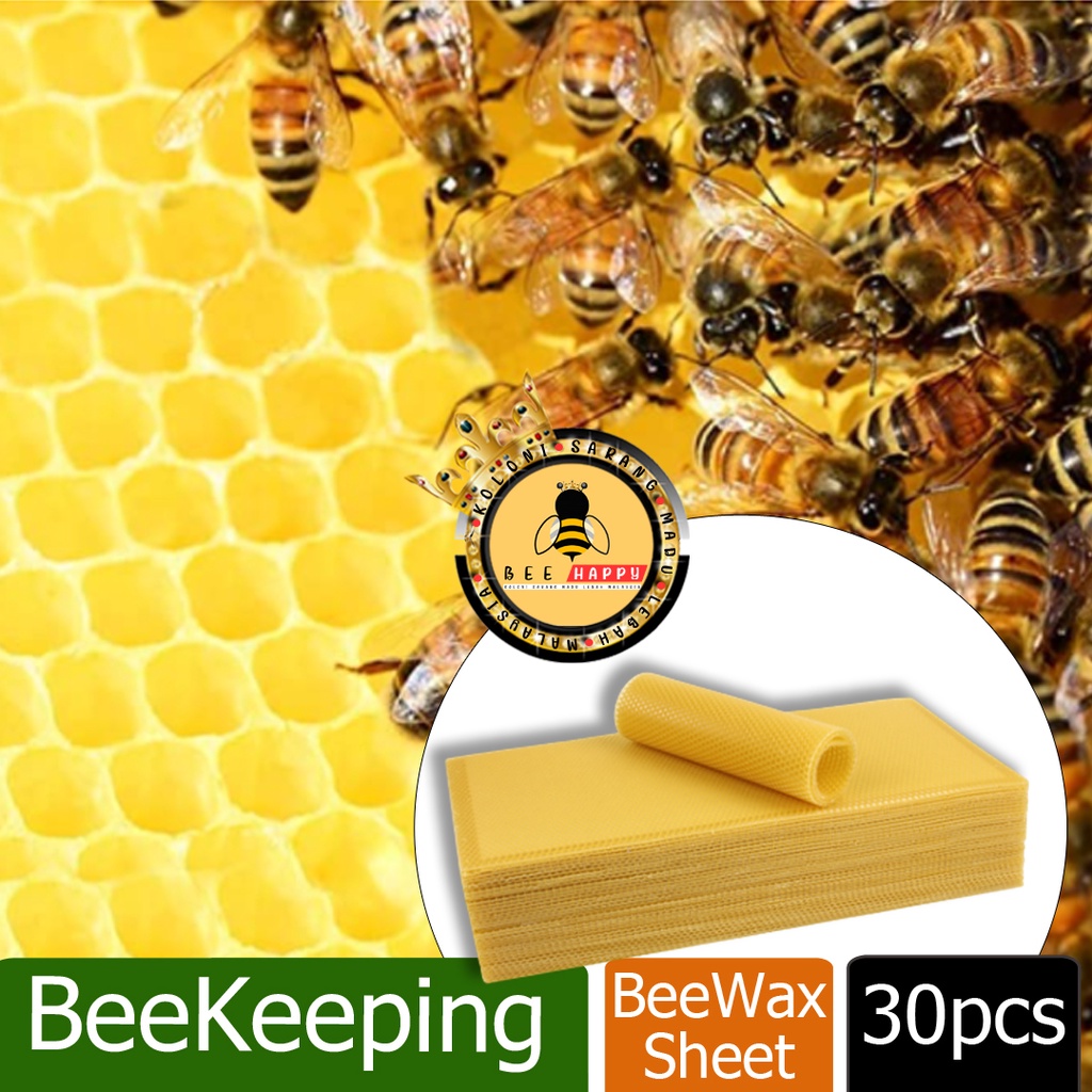 30 Pcs Beeswax Beekeeping Honeycomb Foundation Wax Frames Honey Hive Tool Set 