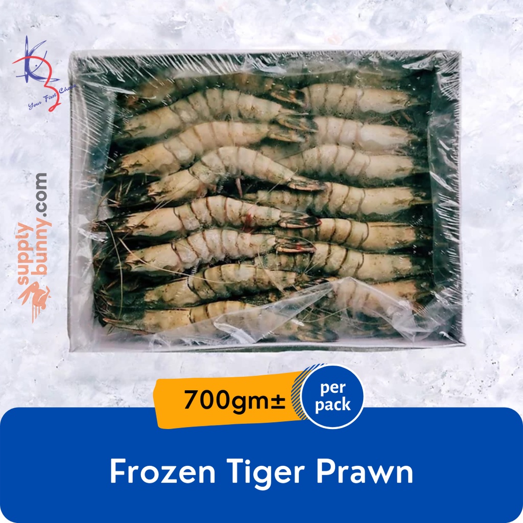 Tiger Prawn 26-30pcs 700g± (sold per pack) 老虎虾 Udang Harimau- Kaizer Frozen Seafood