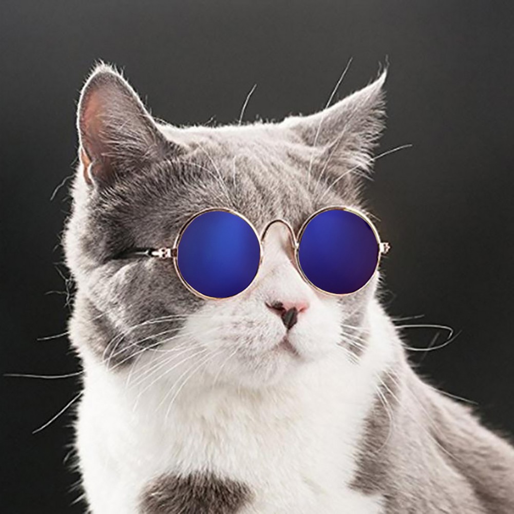 BonTime Fashional Pet Glass Mini Cat Dog Sunglass Accesorios para Mascotas Perro Divertido Juguete 