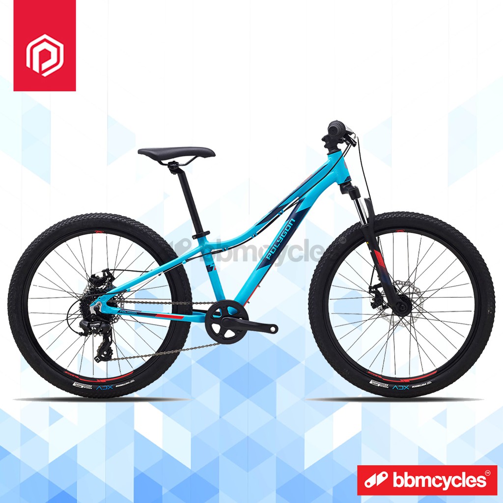 24 inch kids mtb