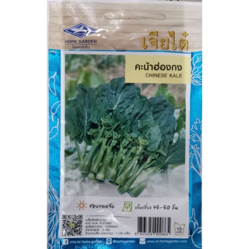 Biji Benih Kailan /Chinese Kale/ (1100 seeds) | Shopee Malaysia