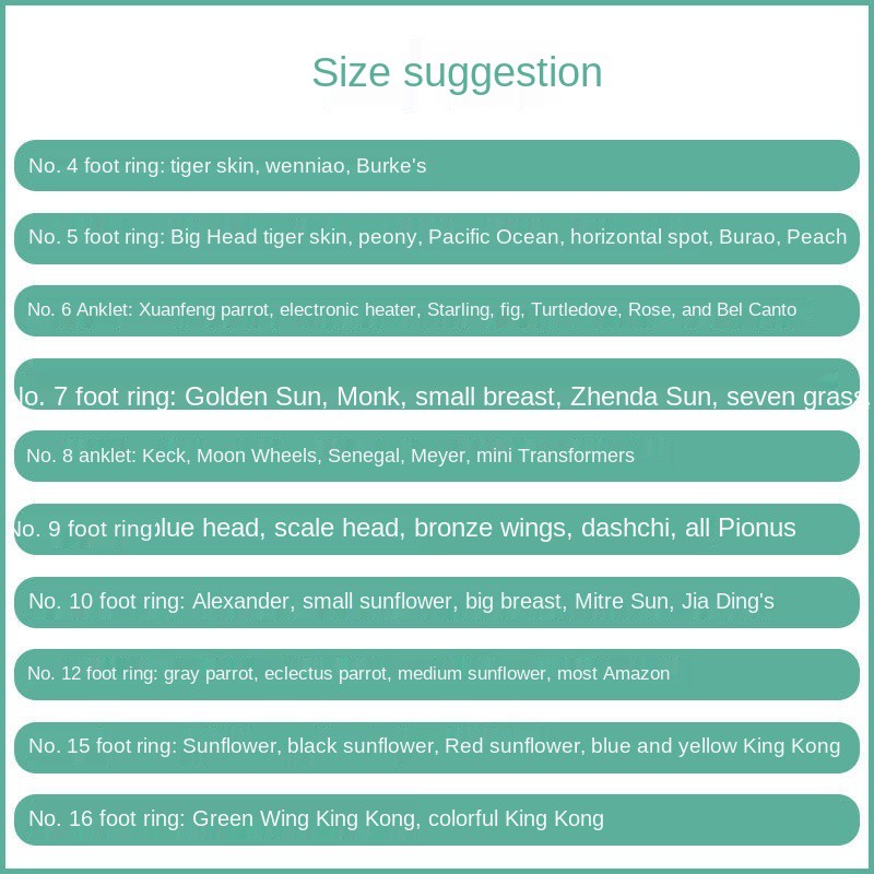 Quality Reliable Parrot foot chain bird ring tiger skin black phoenix peony traction rope flying stand suppliesRantai... - Image 2