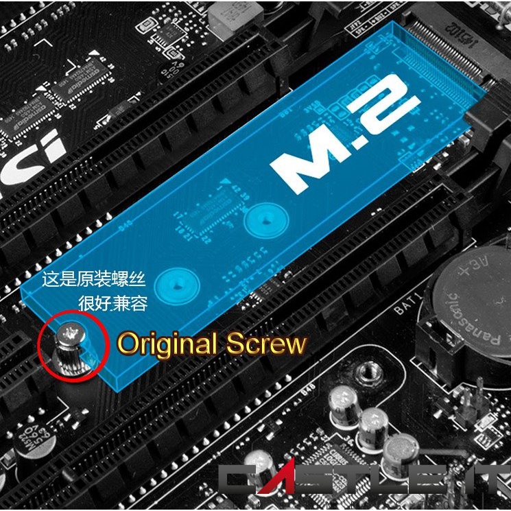 OEM 3mm M.2 Screw for use in M.2 SSD (Screw Only) Gold Plated Thumb ...