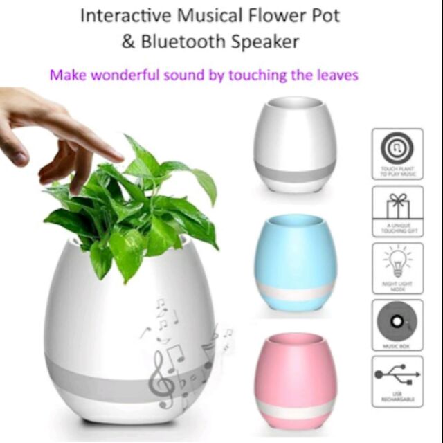 New Interactive Flower with Shopee Malaysia