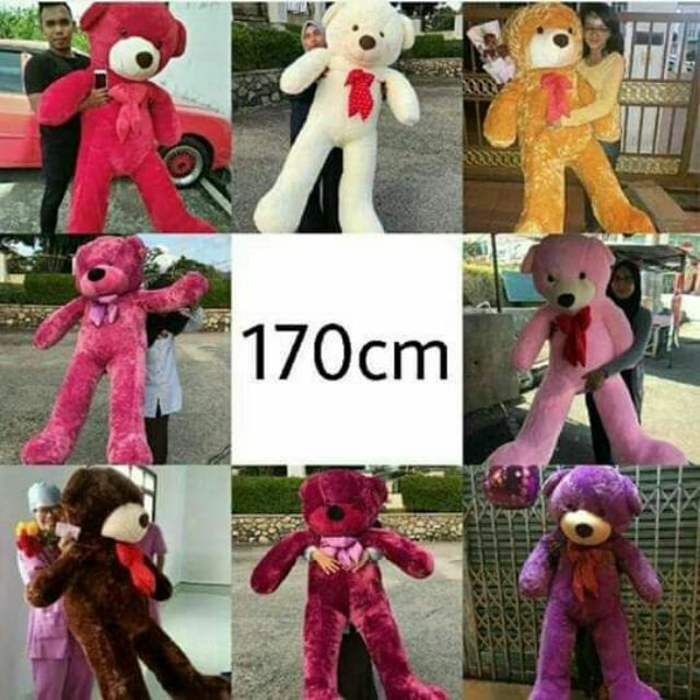 170 cm teddy bear