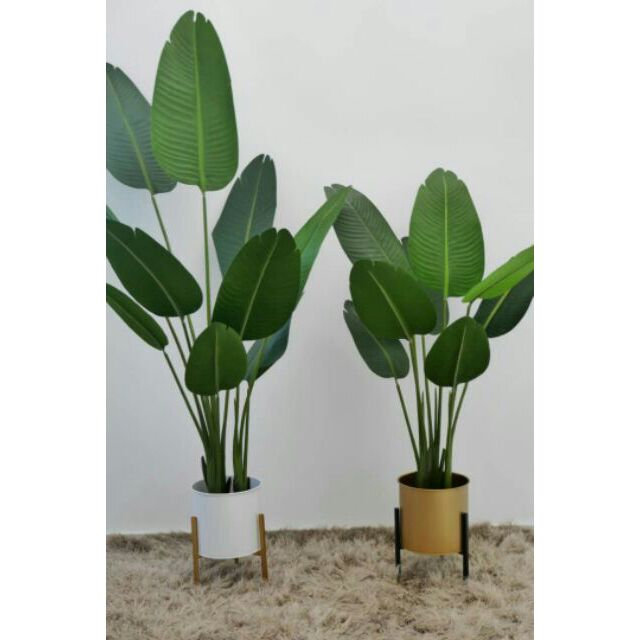 Promo Merk Teflon Yang Bagus Dan Murah