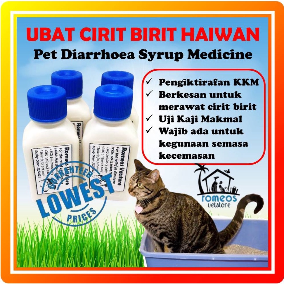 Hot Selling Ubat Cirit Birit Diarrhoea Diarrhea Cat Kucing Arnab Anjing 30ml Shopee Malaysia