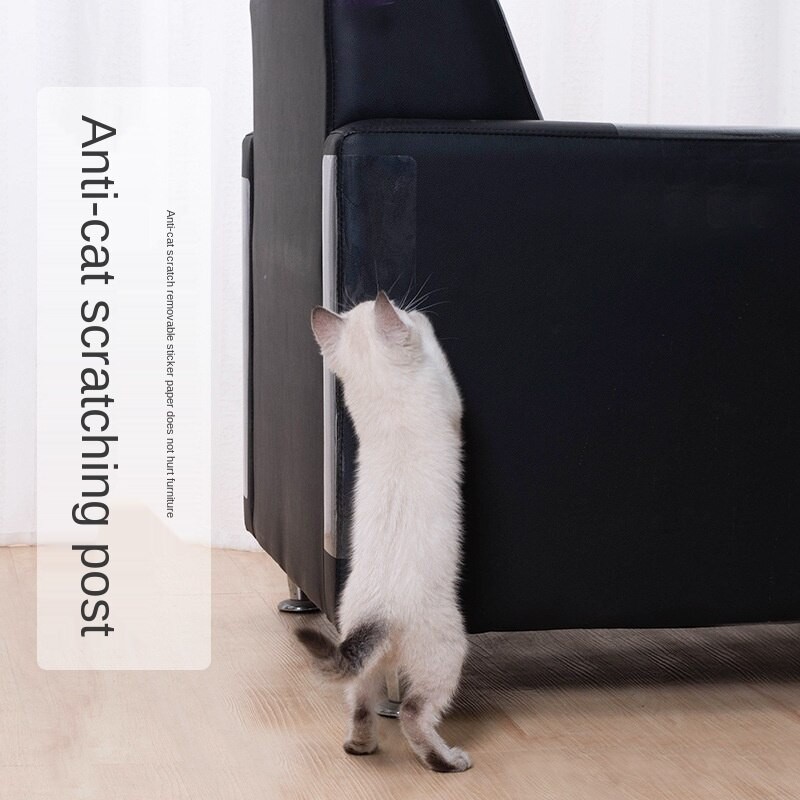 Why Is My Puppy Scratching The Sofa