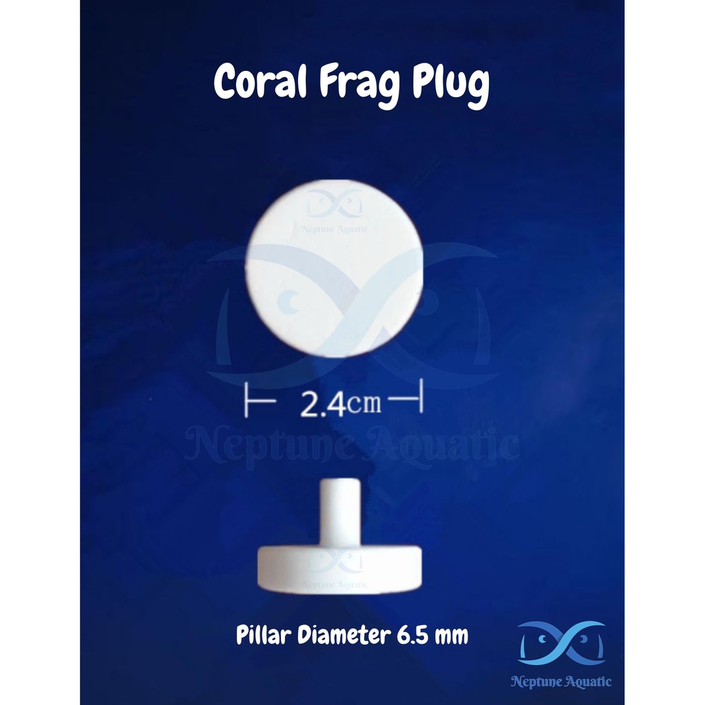 [Ready Stock] Coral Frag Plug For Reef Saltwater Marine Reef Safe Aquarium