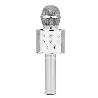 mic with speaker for singing