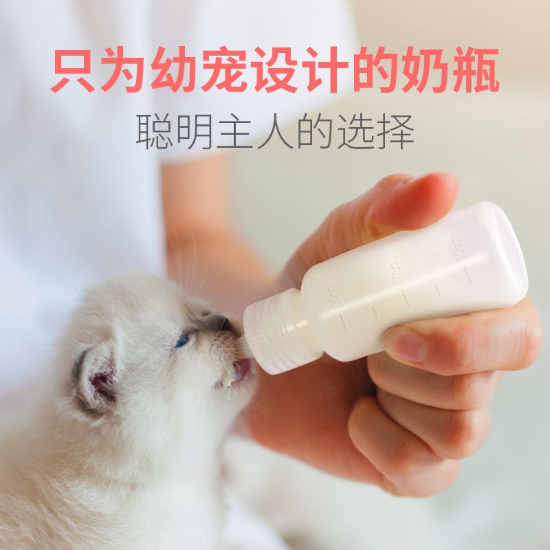 cat bottle feeder