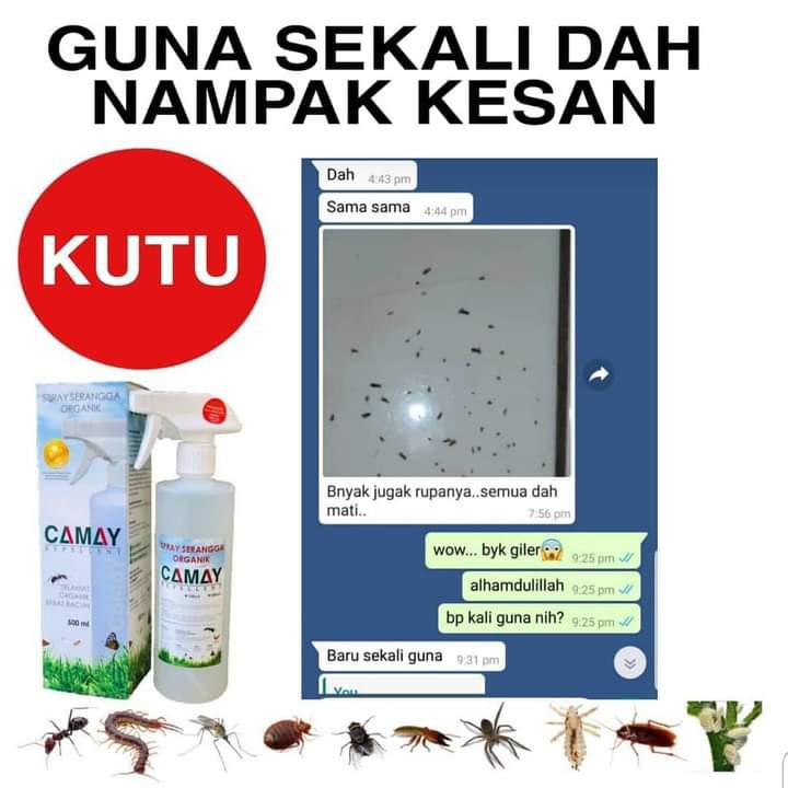 Buy 🔥HOT ITEM🔥CAMAY UBAT KUTU RAMBUT MANUSIA, KUTU KUCING, KURAP 