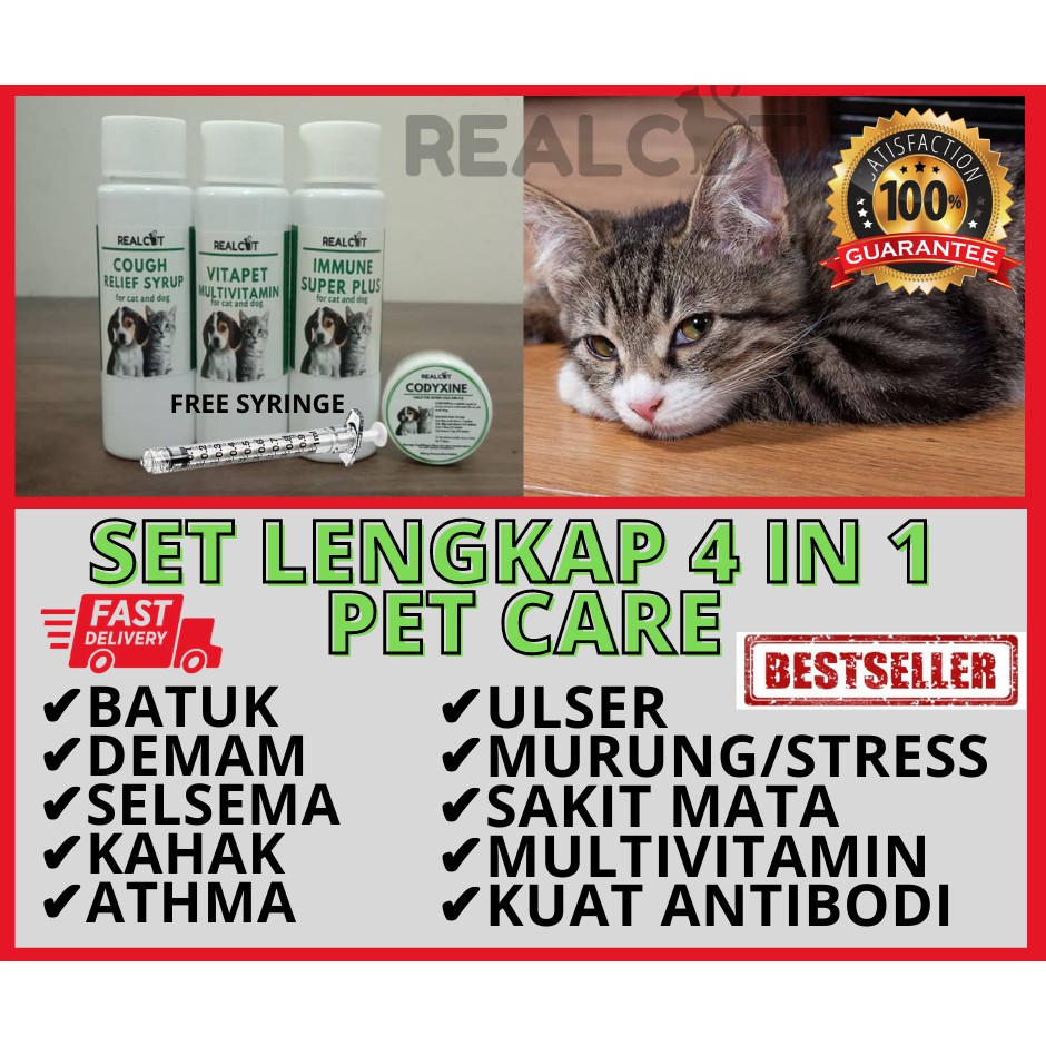 All in One) Demam Selsema Batuk Ulser Cirit Sakit Mata Kucing 