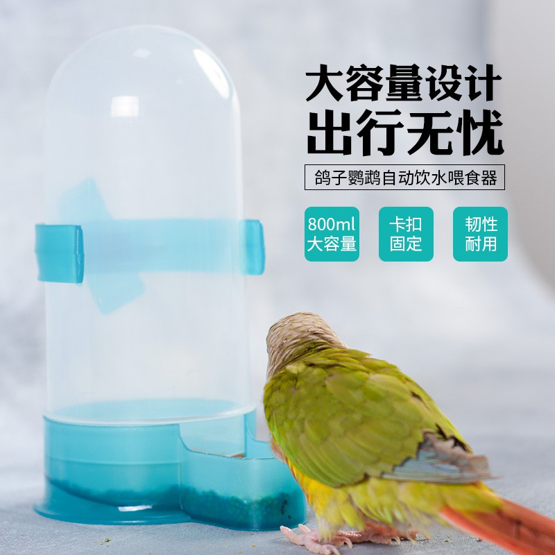 Automatic Water Feeder Pigeons Shopee Malaysia
