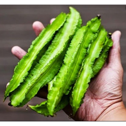 7 Khasiat Kacang Botol Ramai Tak Tahu Free Malaysia Today Fmt