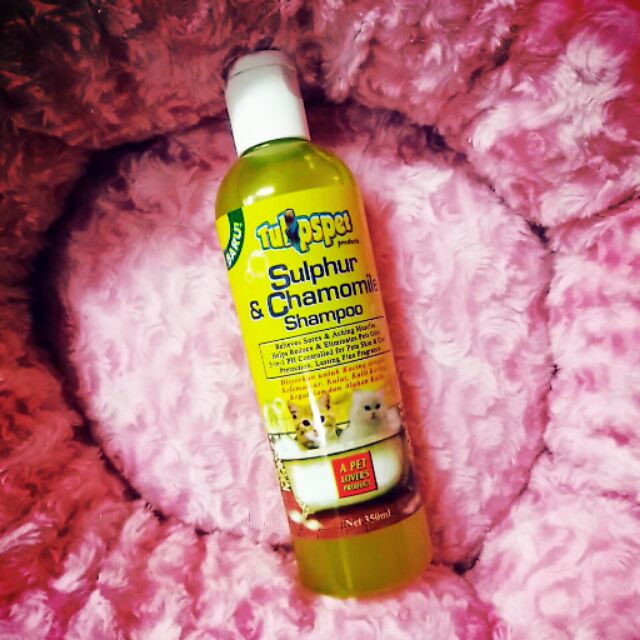 SHAMPOO FUNGUS 350ml Shopee Malaysia