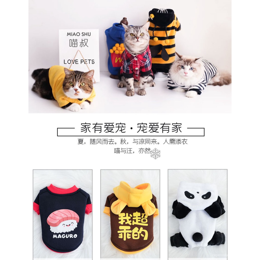 宠物衣服猫咪衣服薄款防掉毛夏天春夏英短蓝猫小猫猫狗狗宠物帅气夏季夏装 Shopee Malaysia