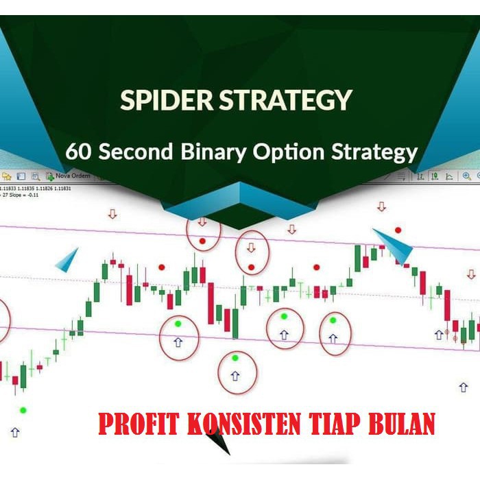 spider strategy binary options