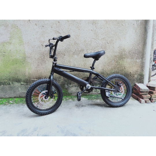 bmx bike with disc brakes