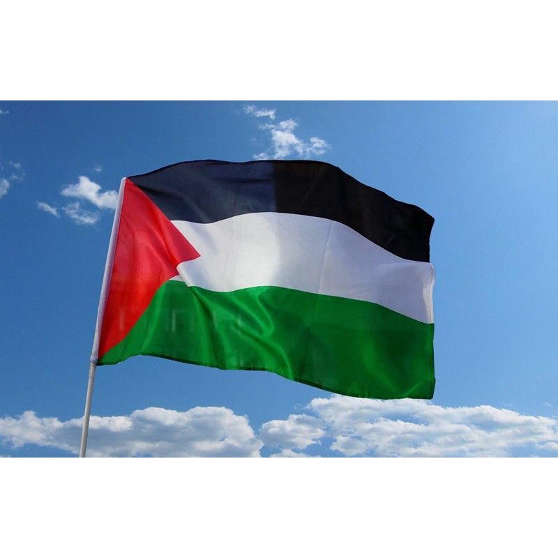 Gambar Bendera Palestina Berdiri Dengan Palestina Palestine Bendera 